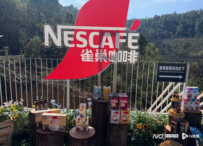 多样化速溶咖啡老大雀巢推多款新品求变麻将胡了试玩模拟器竞争加剧消费需求(图4)